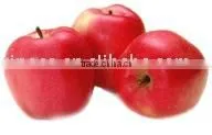 Red Star Apple thumbnail-1
