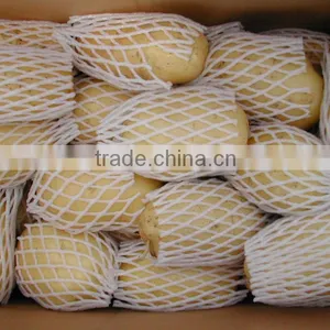 Factory Supplying 2015 New Crop Fresh Holland Potato With Good Quality thumbnail-4