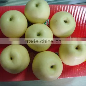 Chinese Golden Pear 9kg 18kg Carton thumbnail-5
