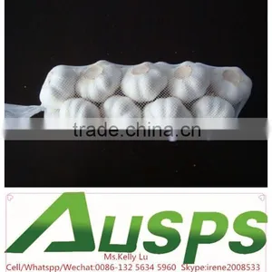 Chinese Garlic thumbnail-5