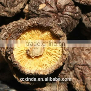 Dried Mushroom,dried Smooth Mushroom,dried Brown and Black Smooth Mushroom 01 thumbnail-1