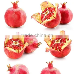 Hot Sale Pomegranate Extract Powder thumbnail-1
