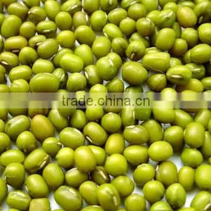High Quality Vietnam Green Mung Bean With Best Price thumbnail-1