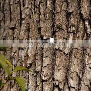 Camphor and Coconut Oil thumbnail-2