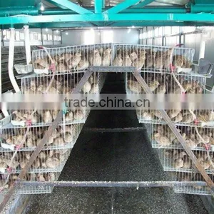 Galvanized A Type Layer Quail Cages for Sale in Kenya Farm thumbnail-1