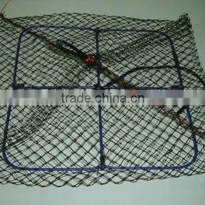 Pearl Net thumbnail-1