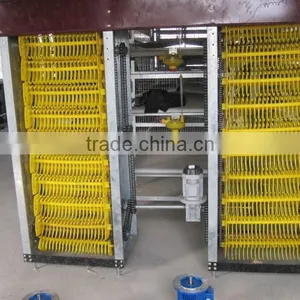 Best Selling Quail Cage For Sale in Quail Farm thumbnail-2