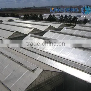 Venlo Agricultural Polycarbonate Sheet Greenhouse thumbnail-4