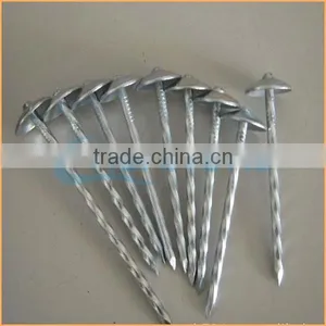 Top Quality Plastic Cap Roofing Nails Trusted Chuanghe Suppliers From Com thumbnail-1