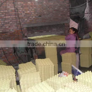 Chinese Standred 30 Holes Pulp Egg Trays thumbnail-1
