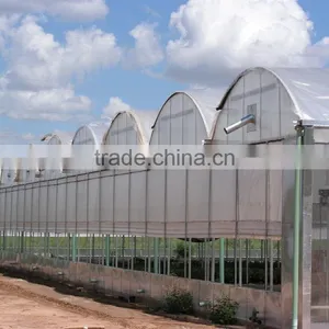 Gutter Connected Agricultural Greenhouse in Multi Span thumbnail-1