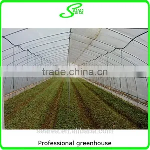 Durable Galvanized Steel Frame Greenhouse Agricultural Greenhouse thumbnail-5
