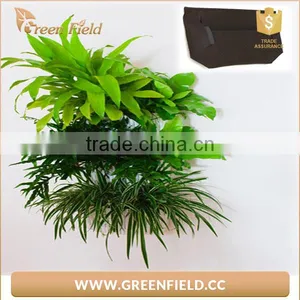 2017 Nonwoven Felt Living Wall Planter Bags Vertical Garden Fabric thumbnail-4