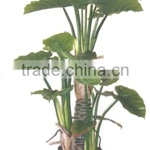 Artificial Bonsai Tree Artificial Taro Simulation Trees thumbnail-2