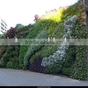 Factory Price Plastic Plant Wall Artificial Vertical Greening Wall thumbnail-4