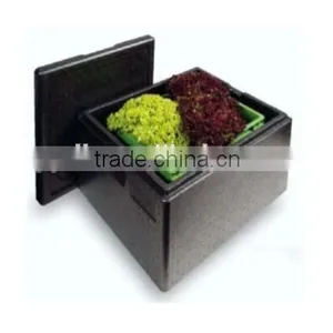 Heat Insulation Environmental Epp Box, Insulation Box, Ice Box, Cooler Box, thumbnail-4