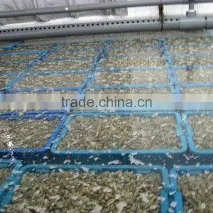 Seafood Frozen Canned Baby Clam thumbnail-6