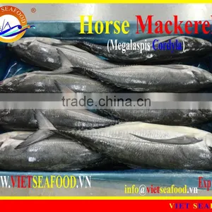 FROZEN W/R HORSE MACKEREL thumbnail-1