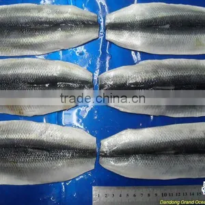 Seafood Frozen Dried Herring Fillet thumbnail-1