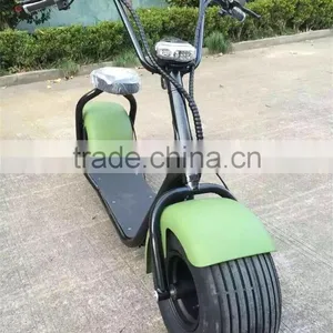2016 Zhejiang Factory Cheapest Promotion Gift Electric Bike 48v Fat Tire Citycoco 6 for Chinese Lunar New Year thumbnail-5