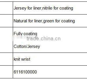 DDSAFETY Hot Sale Green Nitrile Glove Making Machine thumbnail-4