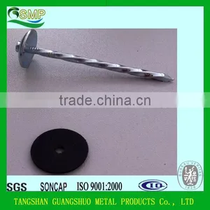 Common Nails/Concrete Steel Nail/Roofing Nail China Manufacturer thumbnail-5