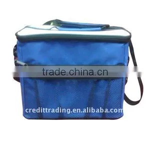 New Design Cooler Bag for Frozen Food thumbnail-1