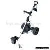 Sell Remote Control Golf Cart (New) thumbnail-1