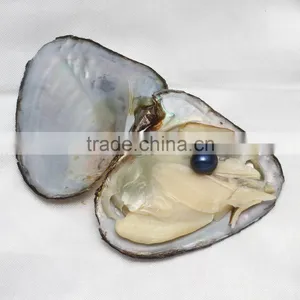 Raw Pearls Freshwater Cultured Love Wish 7.5-8mm Rice Pearl Oyster thumbnail-6