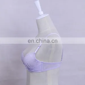 China Factory Comfortable Light Purple Padded Push Up Young Lady Bra thumbnail-3