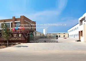 High Quality Export Sunflower Seeds Type 601 thumbnail-3