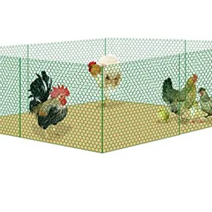 Chicken Wire Netting Hexagonal Wire Netting Poultry Mesh thumbnail-3