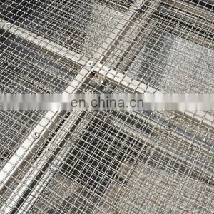 Nut Crushing Machine Peanut Cutting Machine for Sale thumbnail-7