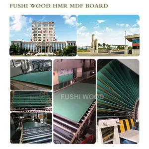 Shouguang Fushi Wood Co., Ltd company overview - view 1 thumbnail
