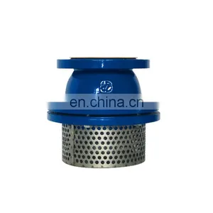 Ductile Cast Iron di Water Pump Foot Valve thumbnail-1
