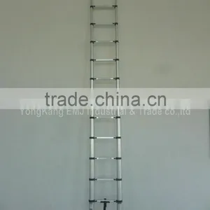 2m Single Telescopic Ladder thumbnail-3