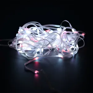 Dream Color Led Rgb Strip Kit LC8812 9.5W 5V Water Lines Lamp Light thumbnail-1