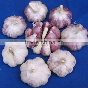 Yunnan Purple Skin Garlic thumbnail-1