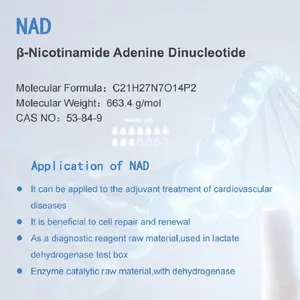 NAD β-Nicotinamide Adenine Dinucleotide//β-NAD thumbnail-4