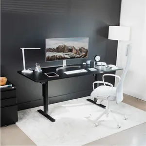Electric Standing Desk thumbnail-4