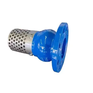 JIS/ANSI/DIN Foot Valve PN16 Cast Iron GGG50 Ductile Iron Flange Stainless Steel Filter Strainer Water Pump Check thumbnail-6