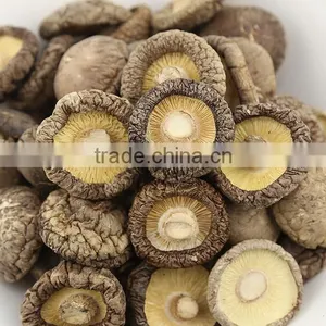 Shiitake Mushroom From Yunnan thumbnail-1