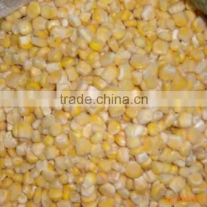 IQF Frozen Sweet Corn Kernel Jinfei Cuiwang Huazhen Variety thumbnail-2