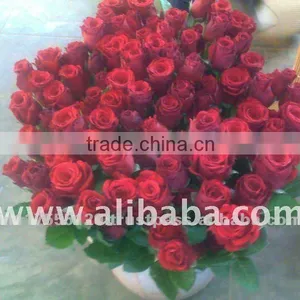 Fresh Cut Fresh Cut Hot Roses thumbnail-1