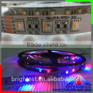 Led Strips 12v,Cold Rolled Strip Steel/Flexible Led Light Strip/Flexible Strip Light thumbnail-3