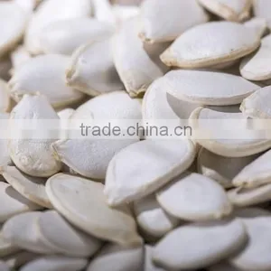 2014-crop Bulk Planting Snow White Pumpkin Seeds With High Quality thumbnail-3