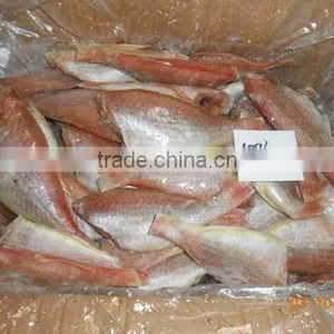 FROZEN SEA BREAM thumbnail-1