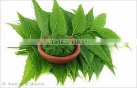 Neem Leaf Powder thumbnail-3