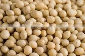 Food Grade Soy Bean Oil thumbnail-1