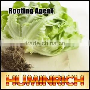 Huminrich Shenyang SH9011-7 Sprinkler Fertilizer 55% Content Super Potassium F Humnat thumbnail-2